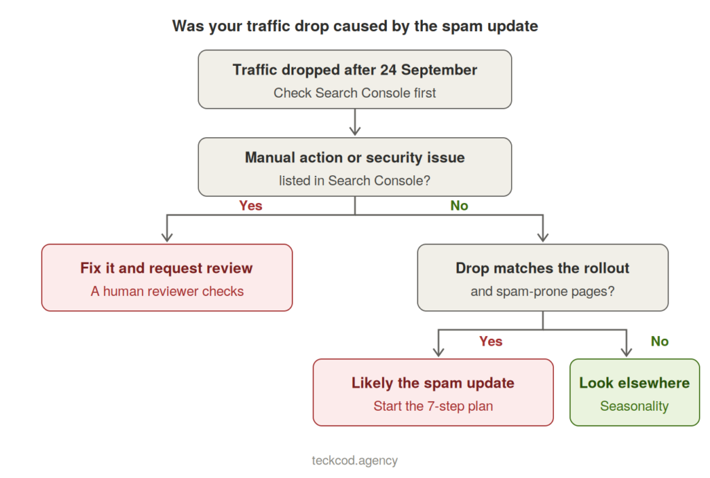 Was Your Traffic Drop Really the Spam Update?